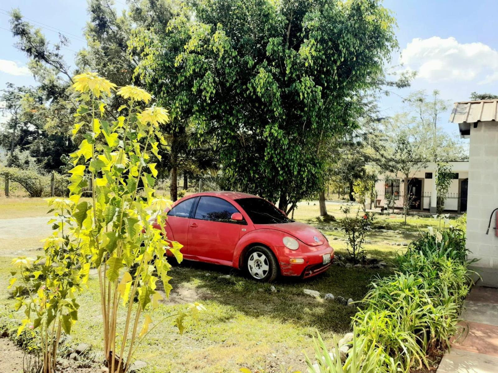 La Chacra De Joel Hotel Huehuetenango Eksteriør billede