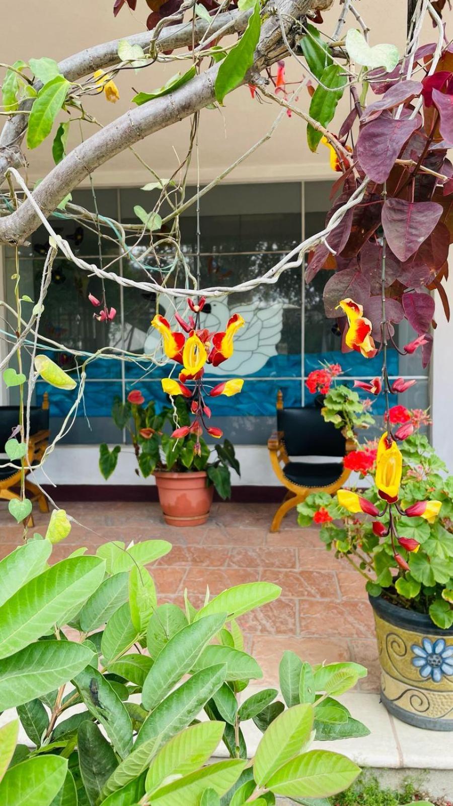 La Chacra De Joel Hotel Huehuetenango Eksteriør billede